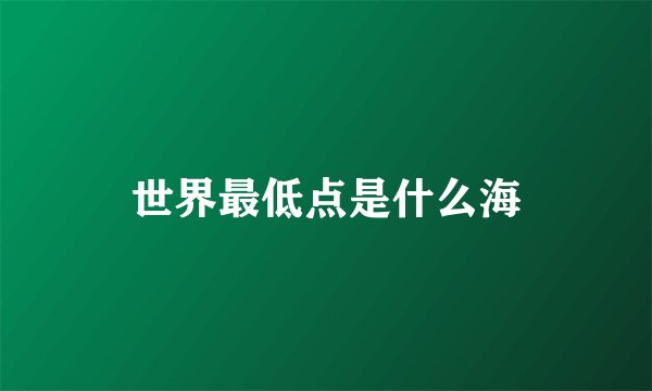 世界最低点是什么海