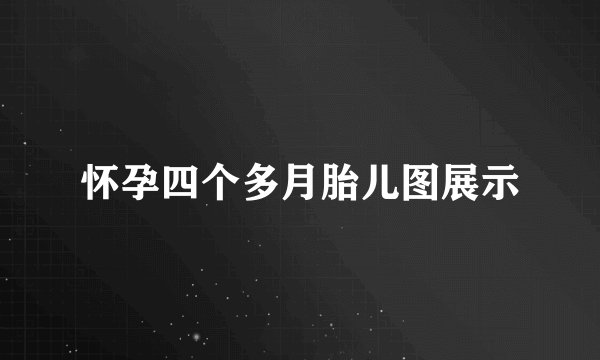 怀孕四个多月胎儿图展示