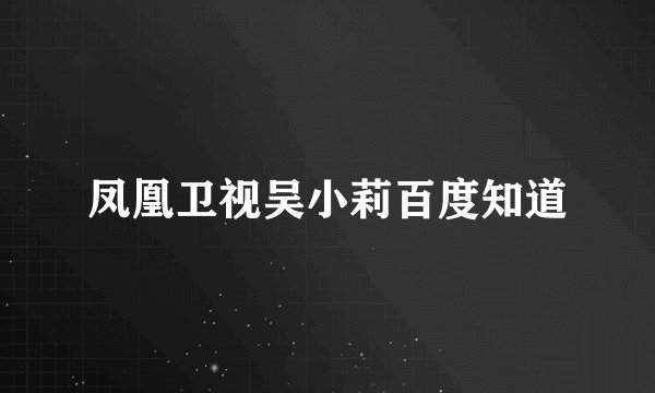 凤凰卫视吴小莉百度知道