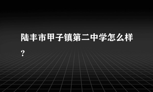 陆丰市甲子镇第二中学怎么样？