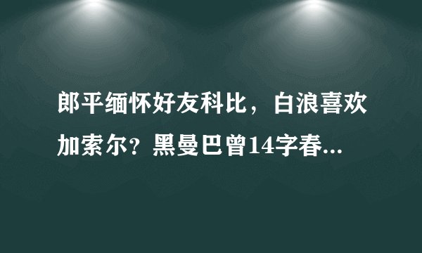 郎平缅怀好友科比，白浪喜欢加索尔？黑曼巴曾14字春联送中国球迷