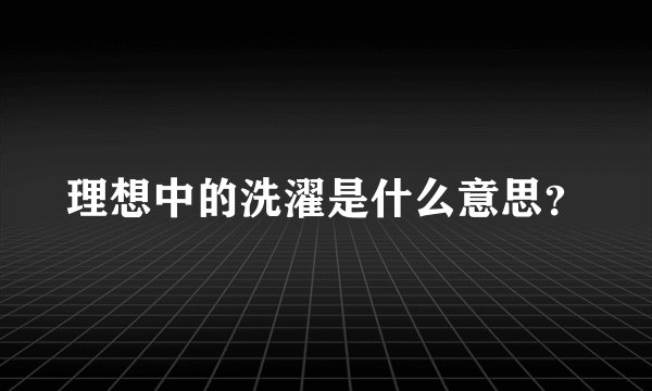 理想中的洗濯是什么意思？