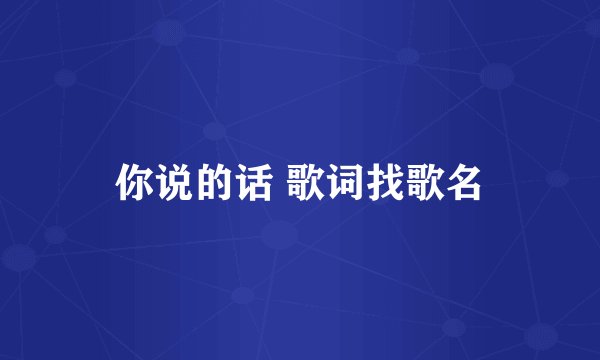 你说的话 歌词找歌名