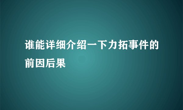 谁能详细介绍一下力拓事件的前因后果