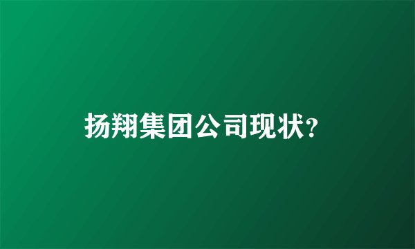 扬翔集团公司现状？