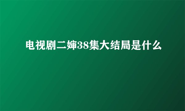 电视剧二婶38集大结局是什么