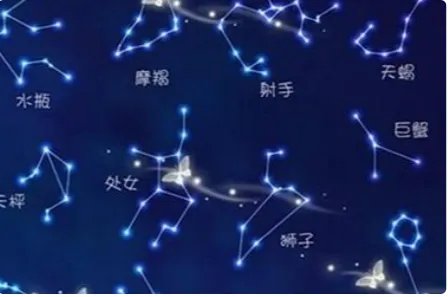 陶白白是什么?