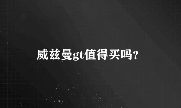 威兹曼gt值得买吗？