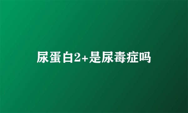 尿蛋白2+是尿毒症吗