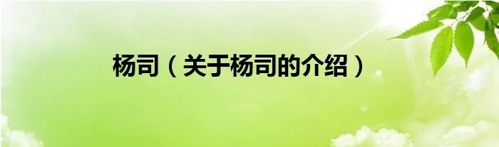 杨司（关于杨司的介绍）