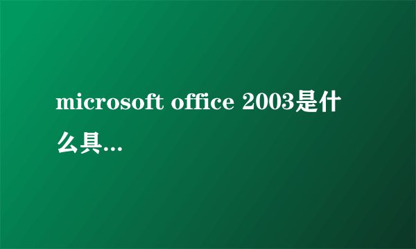 microsoft office 2003是什么具体有那些功能
