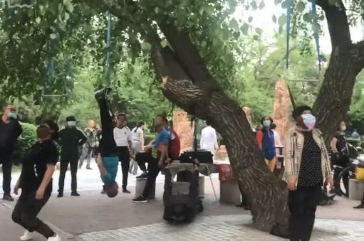 沈阳大爷大妈把头挂树上锻炼,这种奇葩的锻炼方式有什么用?