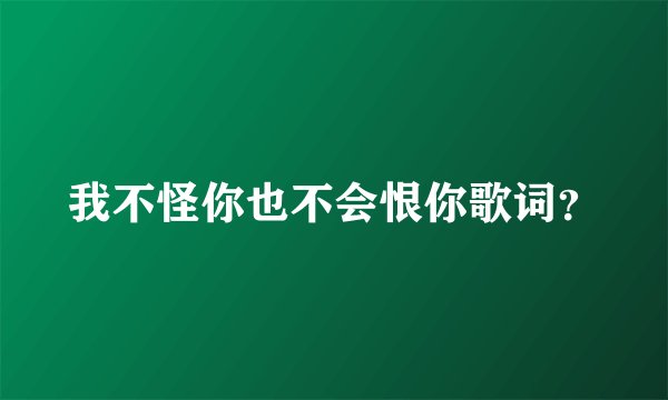 我不怪你也不会恨你歌词？