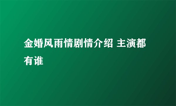 金婚风雨情剧情介绍 主演都有谁
