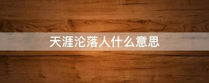 天涯沦落人什么意思