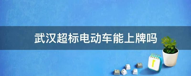 武汉超标电动车能上牌吗