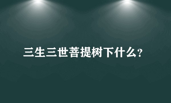 三生三世菩提树下什么？