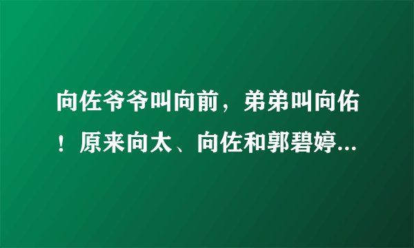 向佐爷爷叫向前，弟弟叫向佑！原来向太、向佐和郭碧婷都曾改过名