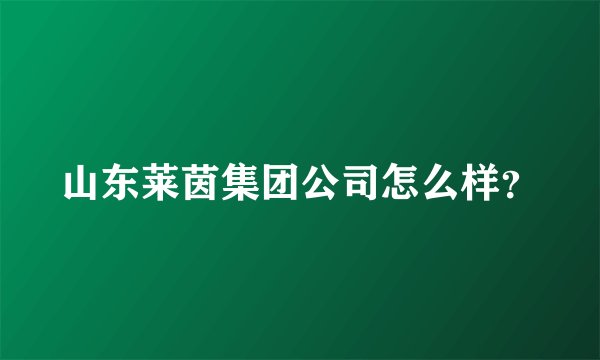 山东莱茵集团公司怎么样？