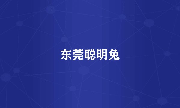 东莞聪明兔