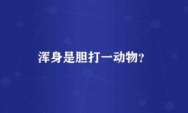 浑身是胆打一动物？