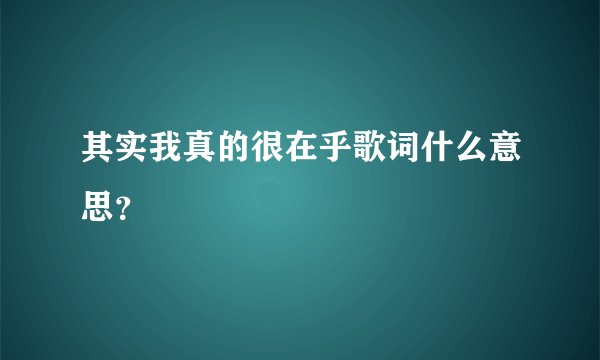 其实我真的很在乎歌词什么意思？