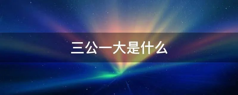 三公一大是什么