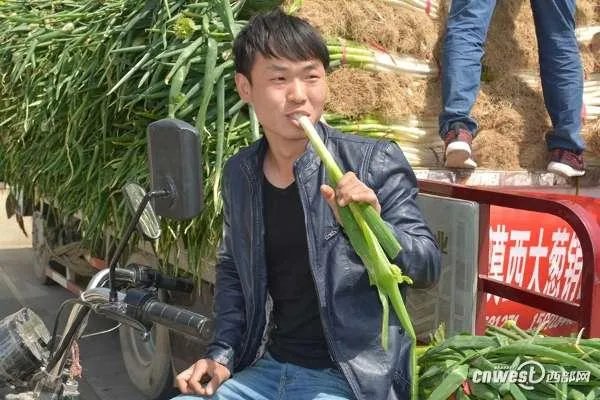 你怎么看“山东百余只羊疑吃“毒大葱”死亡，涉事种植户已抓获”？