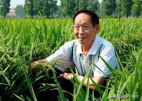 9月7日是袁隆平90岁生日，你想对他说一句什么话呢？