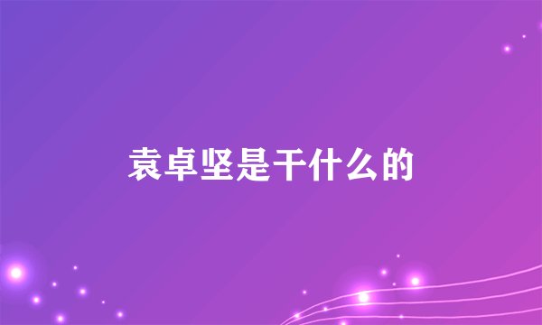 袁卓坚是干什么的