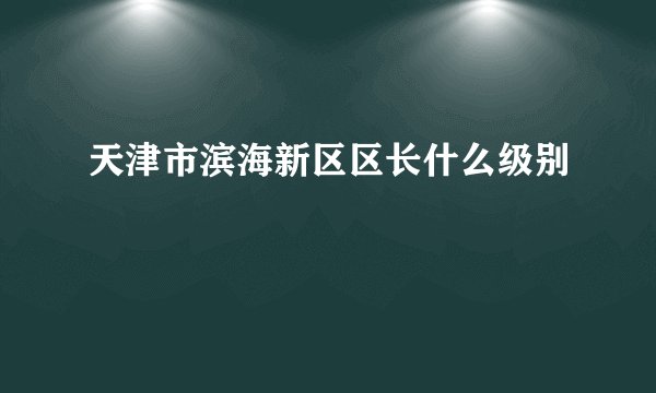 天津市滨海新区区长什么级别