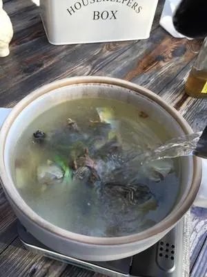 甲鱼怎么做好吃?