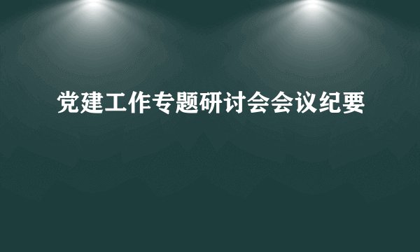 党建工作专题研讨会会议纪要