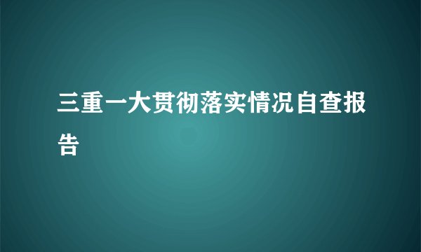 三重一大贯彻落实情况自查报告