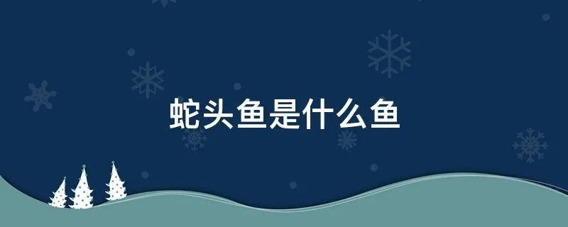 蛇头鱼是什么鱼