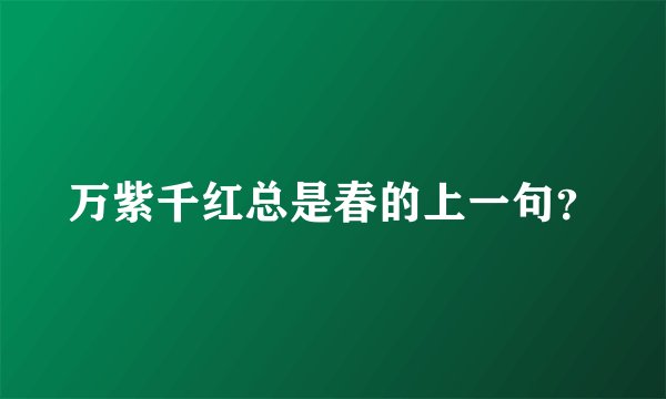 万紫千红总是春的上一句？