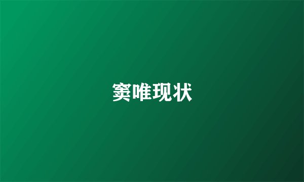 窦唯现状