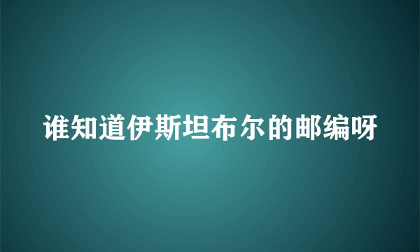 谁知道伊斯坦布尔的邮编呀
