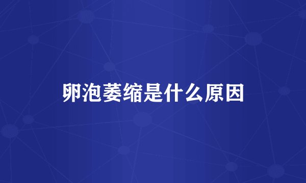 卵泡萎缩是什么原因