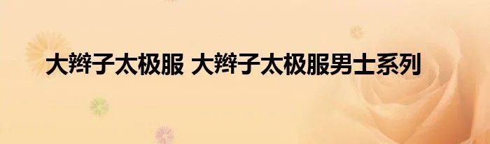 大辫子太极服 大辫子太极服男士系列