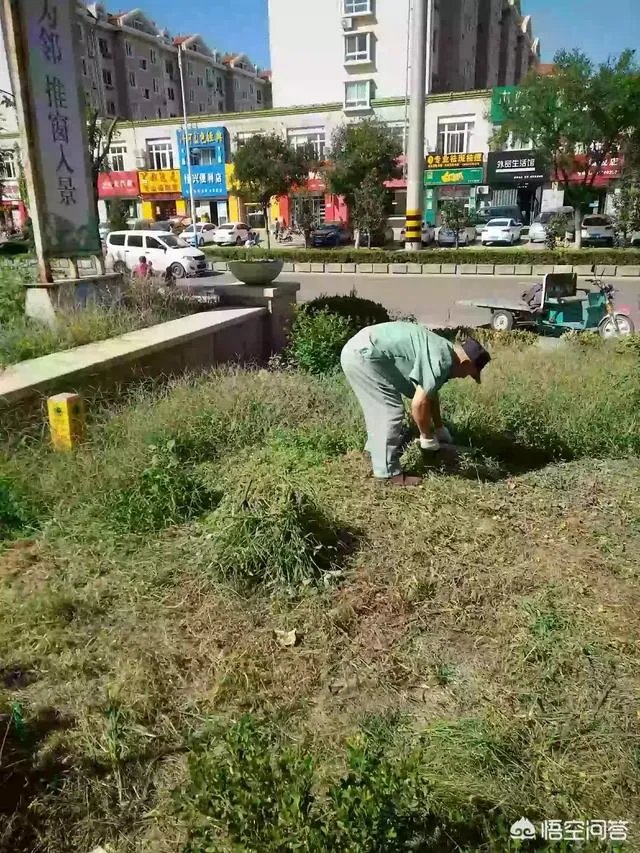 树立信心