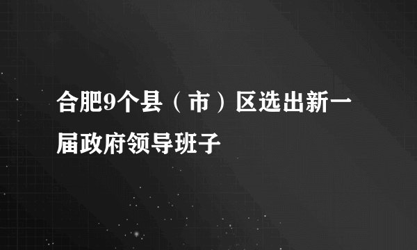 合肥9个县（市）区选出新一届政府领导班子