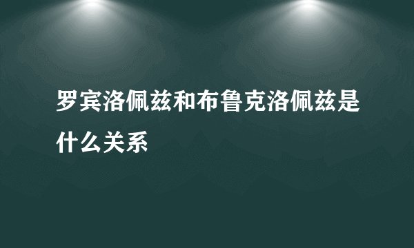 罗宾洛佩兹和布鲁克洛佩兹是什么关系