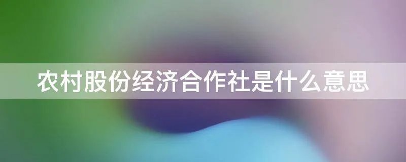 农村股份经济合作社是什么意思