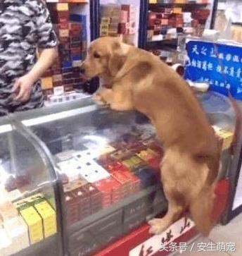 红塔山集团为什么没落了？
