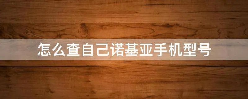 怎么查自己诺基亚手机型号