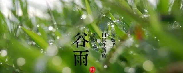 谷雨最有名的诗 谷雨最有名的诗有什么