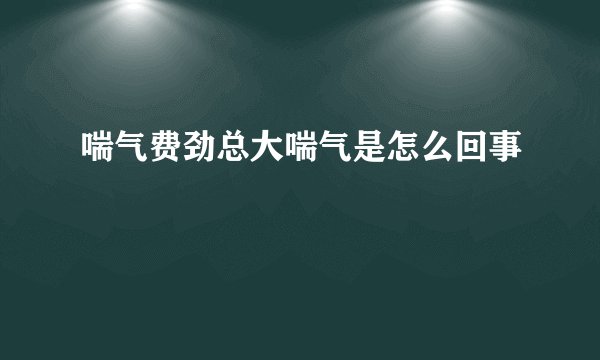喘气费劲总大喘气是怎么回事