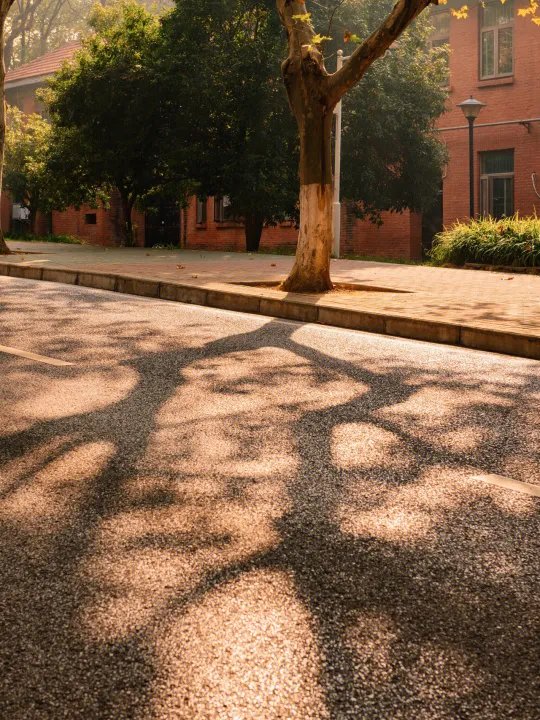 武汉秋天最美的一条路:华中农业大学学院路