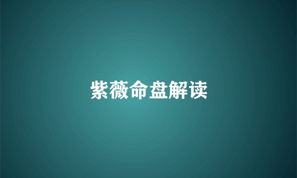 紫薇命盘解读